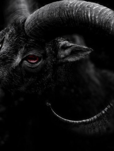 Goat Horns... Arte Viking, Black Phillip, Goat Horns, Bd Art, Aleister Crowley, Pahlawan Super, Arte Obscura, Dark Photography, Arte Horror