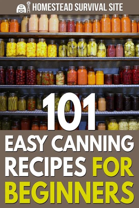 Essen, Canning Recipes For Beginners, Easy Canning Recipes, Electric Pressure Canner, Recipes For Beginners Easy, Pallet Greenhouse, Amish White Bread, Easy Canning, Pressure Canning Recipes