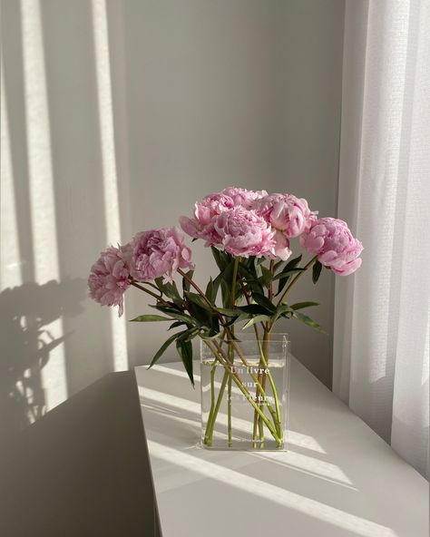 #flowers #aesthetic #inspiration #peonies Peonies Aesthetic Vintage, Peony Flower Aesthetic, Peonies Aesthetic, Pink Foto, Peony Aesthetic, Bedroom Board, Aesthetic Light, Flowers Aesthetic, Aesthetic Inspiration