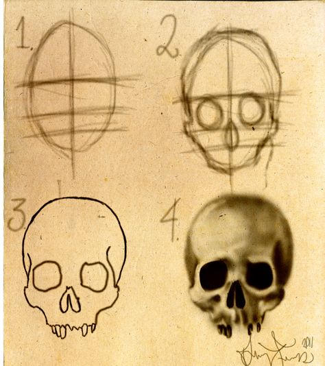 Drawing A Skull Step By Step, Skull Sketch Step By Step, Skull Step By Step Drawing, How To Paint A Skull, How To Draw Skulls Step By Step, How To Draw Bones, How To Draw Skull, How To Draw A Skeleton, Skull Drawing Step By Step