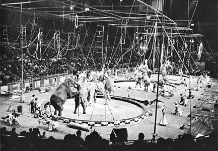 Ringling Brothers | Biographies, Circus, & Facts | Britannica.com Three Ring Circus, Proof Of Heaven, Ringling Brothers Circus, Circus Acrobat, Hanson Brothers, Barnum Bailey Circus, Ringling Brothers, Circus Sideshow, Mom Brain