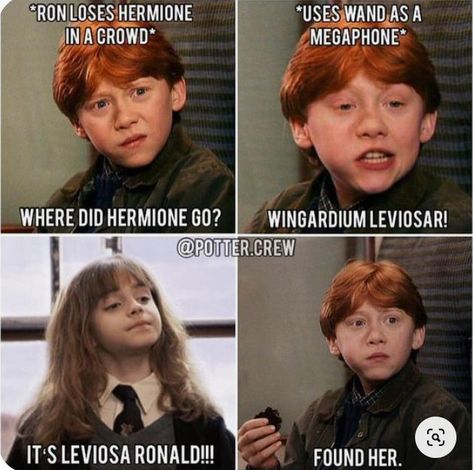 Harry Potter Foods To Make, Cute Fictional Characters, Harry Potter Funny Pictures, Harry Potter Mems, Glume Harry Potter, Funny Harry Potter Jokes, Potter Head, Hp Harry Potter, Harry Potter Memes Hilarious