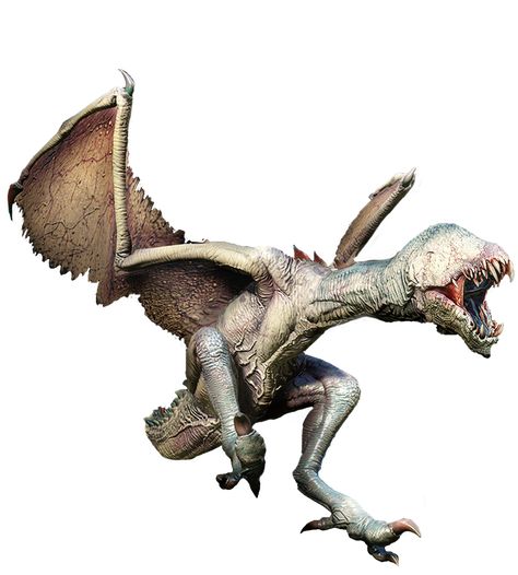 Rpg Creatures, Witcher Monsters, Mountain Monsters, Flying Monsters, Creature 3d, Monster Ideas, Fantasy Ideas, Dnd Monsters, Fantasy Beasts