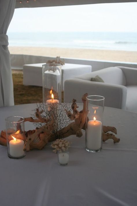 Coral Beach Wedding Centerpieces | Driftwood Coral Centerpiece Sandbridge Virginia Beach Isha Foss Events: Rustic Wedding Decorations, Strand Decor, Coral Centerpieces, Beach Centerpieces, Beach Wedding Coral, Driftwood Centerpiece, Beach Wedding Tables, Tafel Decor, Beach Wedding Centerpieces