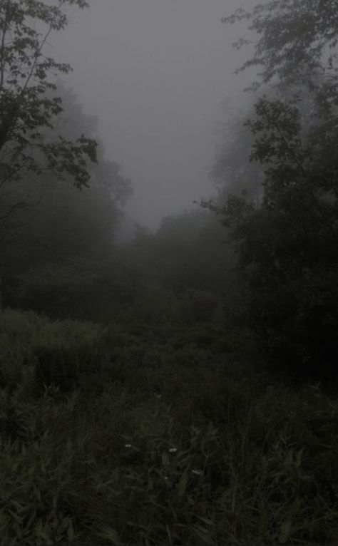 Walpapper Vintage, Dark Naturalism, Dark Forest Aesthetic, Rafe Cameron, Rainy Day Aesthetic, Dark Landscape, Dark Nature Aesthetic, Dark Green Aesthetic, Foggy Forest