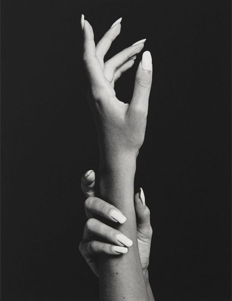Robert Mapplethorpe, Robert Mapplethorpe Photography, Jerry Uelsmann, Juergen Teller, Hand Photography, Still Life Images, Hand Pose, Hand Drawing Reference, Hand Photo