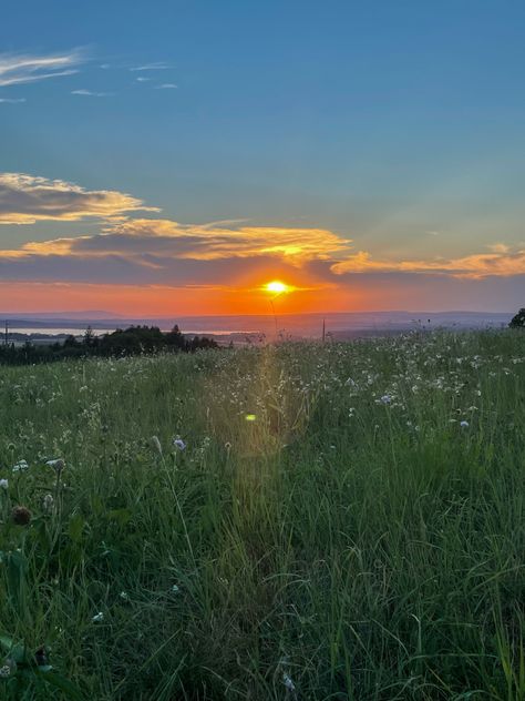 Nature, Sunset Meadow Aesthetic, Sunset Meadow Painting, Medow Photo Aesthetic, Meadow Pictures, Sunset Reference, Aesthetic Meadow, Sunset In Field, Meadow Aesthetic