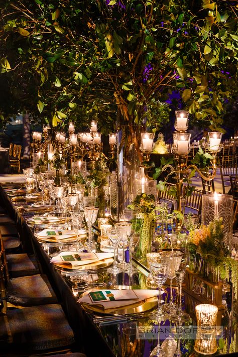 Extravagant wedding decor with tons of greenery, candles and mirrored tabletop. Planning and design by Lindsay Landman Events. Photo by Brian Dorsey Studios #fairytalewedding #weddinggreenery #weddingtable #headtable #glamorouswedding #citywedding #luxuryweddding #weddingdecor #weddingdecorations #weddingcandles #museumwedding #nycwedding Enchanting Wedding Decor, Wedding In Nature Decor, Indoor Garden Wedding Reception Decor, Aestethic Wedding Decor, Luxury Wedding Table Settings, Wedding Decor With Plants, Sustainable Wedding Flowers, Garden Of Eden Wedding Theme, Whimsicle Wedding Decor