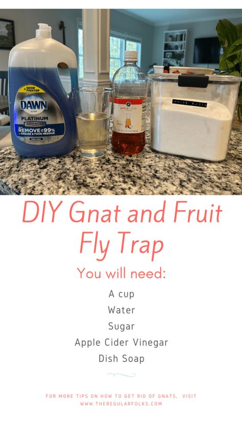 Catching Gnats In House, Nature, How To Get Rid Of Gnats In Your House, Apple Cider Vinegar Gnat Trap, Catching Flies In House, Keep Gnats Out Of House, How To Catch And Kill Nats, How To Remove Fruit Flies, Diy Gnat Trap Vinegar