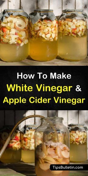 Learn how to make simple homemade vinegar that you can use at home as a cleaner, in food, or as salad dressings. Using easy ingredients like white and red wine and apple cider, these recipes are easy to follow. Make White Vinegar, Preserving Apples, Homemade Apple Cider Vinegar, How To Make Vinegar, Apple Cider Vinegar Recipes, Make Apple Cider Vinegar, Coldsore Remedies Quick, Homemade Apple Cider, Canning Food Preservation