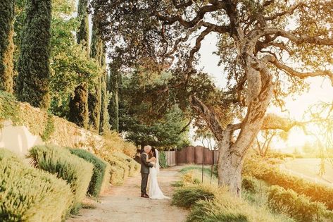 Host your Paso Robles wedding at a whimsical winery overlooking rolling vineyards, a relaxed resort, a chic boutique hotel, and more! (See prices!) Venue Pictured: CaliPaso Winery and Villa Paso Robles, CA Barrel Wedding Decor, Wine Cork Wedding, Jam Wedding Favors, Wine Country Wedding Venues, California Honeymoon, California Winery, Country Wedding Venues, Villa Wedding, California Wedding Venues