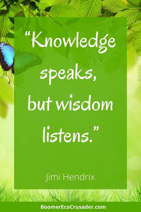 There's no shortage of knowledge in the world, but wisdom is more scarce. Click through to learn the difference between wisdom and knowledge, and how you can cultivate wisdom in your life. Quotes On Wisdom And Knowledge, Knowledge And Wisdom Quotes, Jimmie Hendricks, Spirituality Quotes, Wisdom Thoughts, Wisdom And Knowledge, More Knowledge, Knowledge Facts, Quotes About Everything