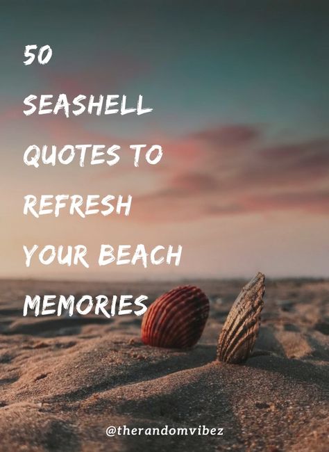 #seashells #seashellsquotes #seashellssayings #seashellscaptions #ocean #beach #inspirationallifequotes #holidayquotes #adventure #beachcombing #sea #memories #seashellsquotesimages #seashellsshortquotes