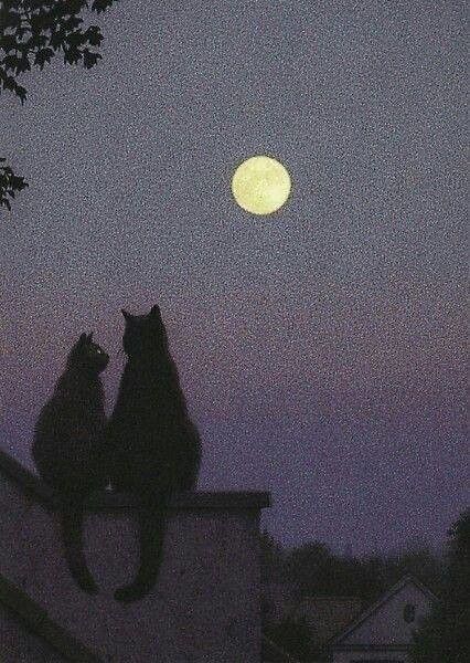 Photo | Détournements Mineurs - Tap the link now to see all … | Flickr Aesthetic Moon Illustration, Moon Illustration Aesthetic, Moonchild Aesthetic, Full Moon Drawing, Full Moon Aesthetic, Quint Buchholz, Moon And Cat, Söpö Kissa, 9 Lives