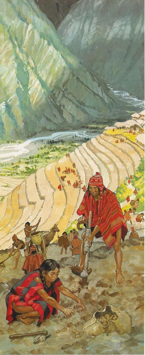 Inca Art, Cheating Men, Inca Empire, America Art, High Fantasy, Ancient Cultures, The Cloud, Ancient Civilizations, Ancient Times