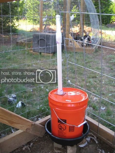 5 Gallon Bucket Watering System For Chickens, Homemade Chicken Waterer, Pvc Chicken Waterer, Chicken Waterer Diy, Pvc Chicken Feeder, Chicken Coop Kit, Cheap Chicken Coops, Oil Drip, Chicken Waterer