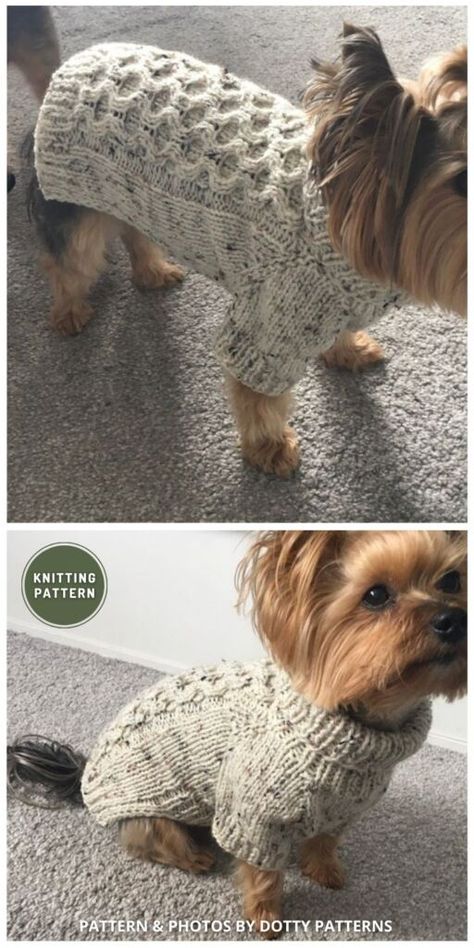 Knit Puppy Sweater Pattern, Puppy Sweater Knitting Pattern, Knit Pet Sweater Free Pattern, Yorkie Sweater Knitting Pattern, Knitted Dog Coats Pattern Free, Knitted Small Dog Sweaters Free Pattern, Xs Dog Sweater Knitting Pattern Free, Tiny Dog Sweater Knitting Pattern, Knitting Patterns Dog Sweater