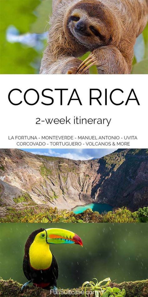 Costa Rica, Tortuguero National Park, Costa Rica Backpacking, Costa Rica Map, Costa Rica Itinerary, Costa Rica With Kids, Cost Rica, Costa Ric, Costa Rica Adventures