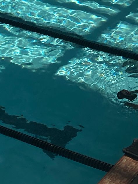 Pool Estetic, Swimming Fitness Aesthetic, Swimming Sports Aesthetic, Swimming Gear Aesthetic, Swimming Laps Aesthetic, Professional Swimming Aesthetic, Male Swimmer Aesthetic, Pool Swimming Aesthetic, Morning Swim Aesthetic