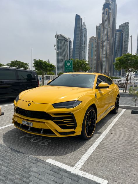 #lamborghini #lamborghiniurus #dubai #luxury #lujo #money #cars Luxury Cars, Lamborghini, Dubai Luxury Cars, Rapper Lifestyle, Dubai Lamborghini, Audi Q8, Dubai Luxury, Car Collection, Luxury Travel