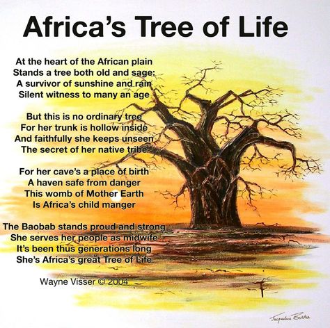 Baobab Poem Nature, South African Poems, Africa Activities, African Poems, Africa Trees, Africa Quotes, American Nature, Oberlin College, Remedial Reading