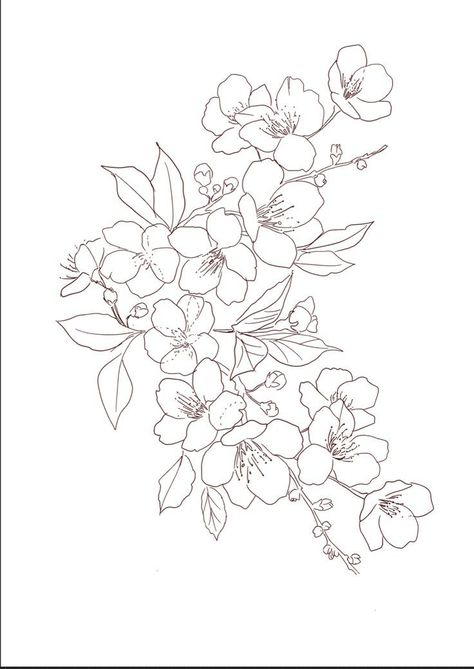 Cherry Blossom Outline, Flower Tattoo Stencils, Sakura Tattoo, Tattoo Templates, Japanese Flower, Plant Tattoo, Cherry Blossom Tattoo, Blossom Tattoo, Ecole Art