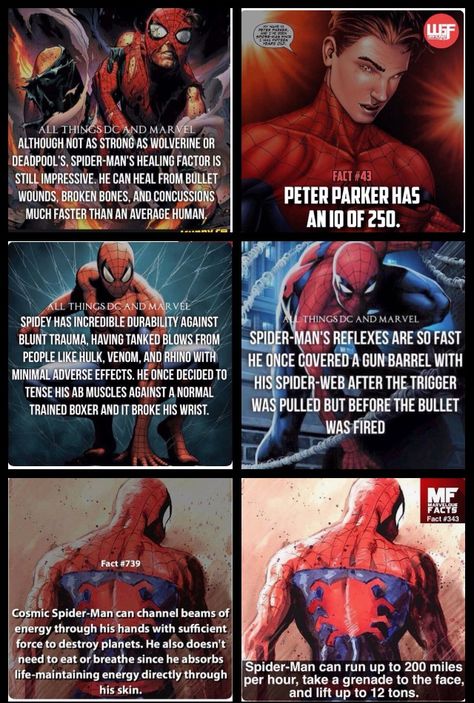 Spiderman facts marvel comics Spiderman Facts, Spider Verse Cosplay, Spider Man Facts, Miles Morales Spider, Dc Facts, Spider Man Spider, Miles Morales Spider Man, Superhero Facts, Man Spider