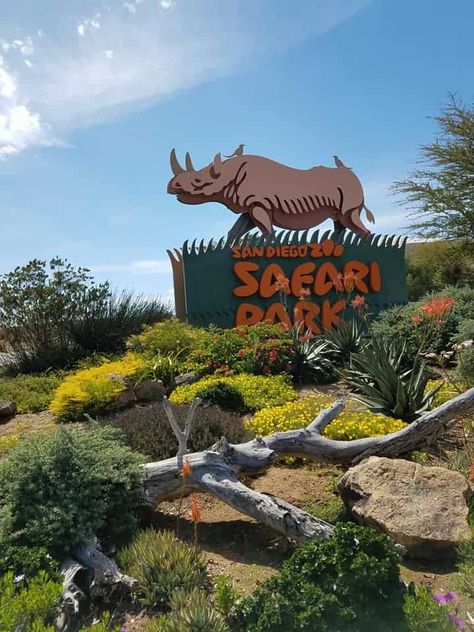 "I recently visited both the San Diego Zoo and the Safari Park, and it's tough to choose a favorite because they offer such unique experiences. 🦁🦒🦋🌿🌎 #SanDiegoZoo #SafariPark #WildlifeAdventures" San Diego Safari Park, San Diego Zoo Safari Park, Garden Animals, Africa Safari, Safari Park, Downtown San Diego, San Diego Zoo, Unique Experiences, Wild Adventures