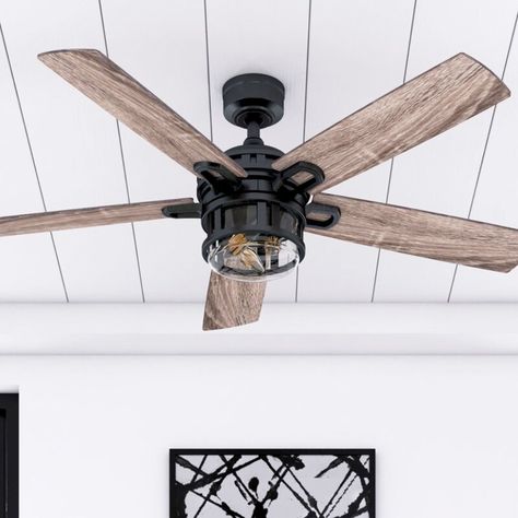 Ivy Bronx 52'' Osburn 5 - Blade Standard Ceiling Fan with Remote Control and Light Kit Included & Reviews | Wayfair Ceiling Fan Size, Caged Ceiling Fan, Indoor Fans, Room Fan, Remote Control Light, Best Ceiling Fans, Black Ceiling Fan, Contemporary Ceiling Fans, Contemporary Style Homes