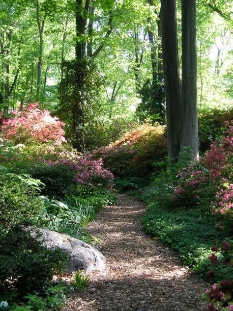 Walkways Paths, Path Design, Forest Garden, Garden Pathway, Woodland Garden, Kew Gardens, Green Gables, Garden Cottage, Gull