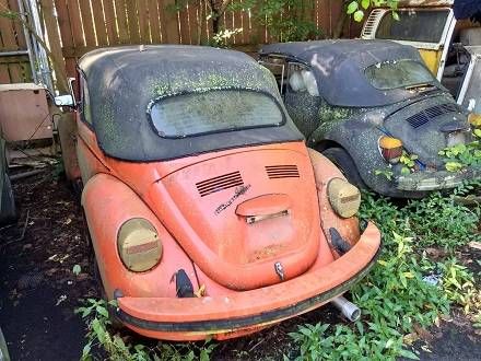 Vw Bus For Sale, Vw Bug Convertible, Classic Vw Beetle, Classic Volkswagen Beetle, Vw Beetle For Sale, Vw Beetle Convertible, Vw Super Beetle, Automotive Restoration, Volkswagen Beetle Convertible