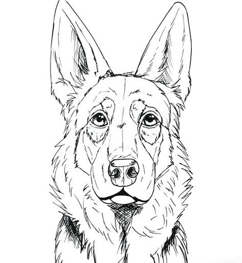 This page will show you how to draw a German Shepherd’s face and head in step-by-step guides.  The first tutorials will be easier and for beginners, and each tutorial will get more advanced. How to Draw a German Shepherd Face Step-by-Step This will be one of the easier tutorials, which can be followed along step-by-step. ... Draw A German Shepherd Face, Draw German Shepherd Easy, German Shepherd Face Drawing, Drawing A German Shepherd, Draw A German Shepherd, German Shepard Draw, German Shepard Sketches, Drawings Of German Shepherds, German Shepherd Sketch Pencil Drawings