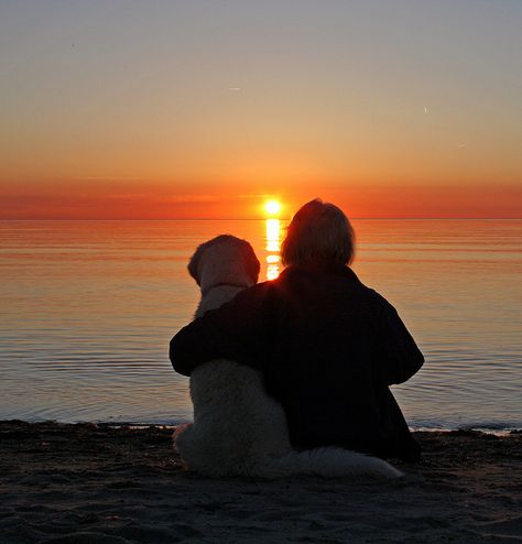 Golden hour | Flickr - Photo Sharing! Sun, Watching The Sunset, The Sunset, My Dog, On The Beach, The Beach