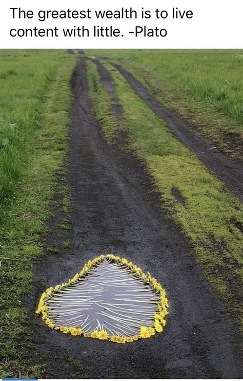 Art Installation, Land Art Ideas, Andy Goldsworthy, Ephemeral Art, Earth Art, Photography Subjects, Arte Inspo, Foto Art, Sculpture Installation