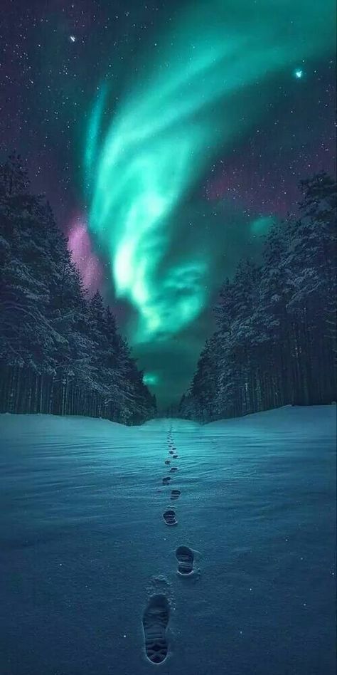 Aurora Southern Lights, Beautiful Northern Lights, The Northern Lights Wallpaper, Aurora Lights Wallpaper, Winter Images Nature, Northem Light, Wallpaper Northern Lights, Northern Lights Aesthetic, Aurora Photography