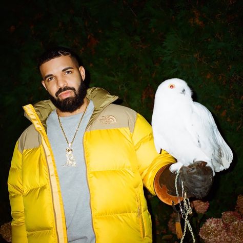 @champagnepapi on Instagram: “As wise as the old owl but still the gold child. Thank you for all your love and well wishes.” Drake And Taylor, Drake Ovo, Drizzy Drake, Drake Drizzy, Ropa Hip Hop, Drake Graham, Boogie Wit Da Hoodie, Aubrey Drake, Dj Khaled