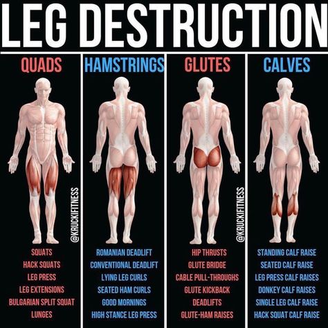 Bigger Legs, Sets And Reps, Power Workout, Quads And Hamstrings, Thing To Make, Muscle Abdominal, Trening Fitness, Glute Bridge, Leg Day