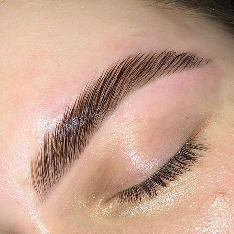 Find out everything about one of the most popular treatments for trendy eyebrows. We bring you Brow Lamination explained in detail. #browlamination #ezebrowlamination #laminatedbrows #laminatedezebrows #browlift #browperm #ezebrowperm #pmuhub Trendy Eyebrows, Short Eyebrows, Eyebrow Lamination, Sugaring Hair Removal, Brown Eyebrows, Lash Tint, Waxing Services, Thick Brows, Sugar Waxing