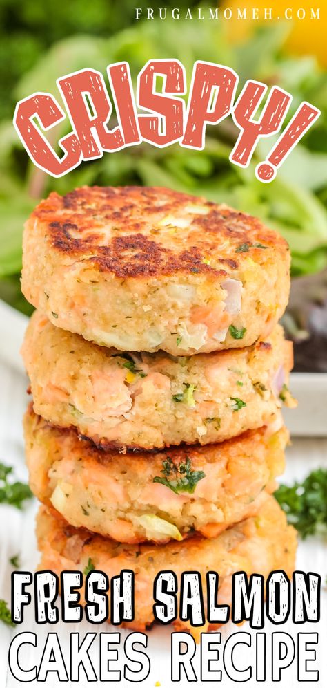 Looking for an easy fresh salmon cakes recipe? These fish patties are fresh, simple, and delicious – perfect for a quick weeknight meal! Salmon And Shrimp Patties, Fresh Salmon Cakes Recipe, Salmon Patties Fresh Salmon, Salmon Patties With Fresh Salmon Recipe, Grilled Salmon Patties, Fresh Salmon Patties Recipe Easy, Baked Salmon Cakes Oven, Salmon Patties From Fresh Salmon, Salmon Cake Recipe