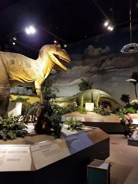 Dinosaur Exhibit #Sponsored , #sponsored, #Paid, #Exhibit, #Dinosaur Dinosaur Exhibit, Dinosaur Exhibition, Business Icon, Business Icons, Science Center, Business Icons Design, Design Simple, Icons Design, Icon Design