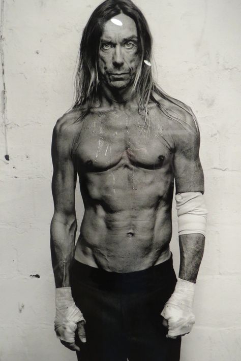 Iggy Pop Annie Leibovitz, Graduation Picture Ideas, The Stooges, Graduation Picture, Pochette Album, Iggy Pop, Rock N’roll, Rock Legends, Anatomy Reference