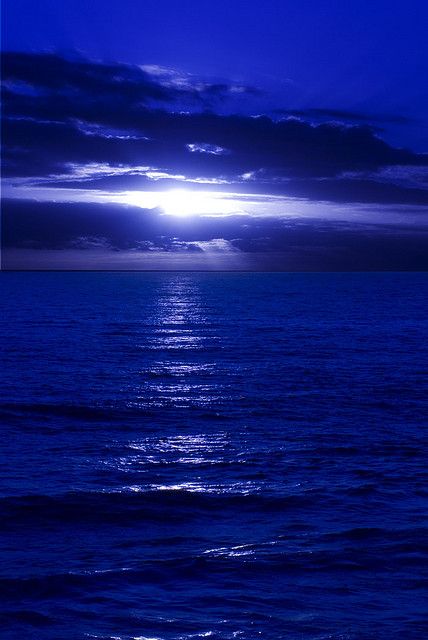Blue Day Ending | by DarrynSantich Image Bleu, Photo Bleu, Blue Aesthetic Dark, Blue Day, Dark Blue Wallpaper, Everything Is Blue, Light Blue Aesthetic, Blue Wallpaper Iphone, Blue Aesthetic Pastel