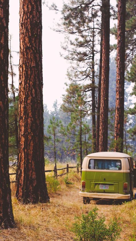 30+ Summer Aesthetic Wallpapers - A Vintage wallpaper image Camping Essentials, Wallpaper Cities, Targaryen Dress, Cities Wallpaper, Summer Wallpapers, Green Vans, Camping Aesthetic, Wallpaper Iphone Summer, City Wallpaper