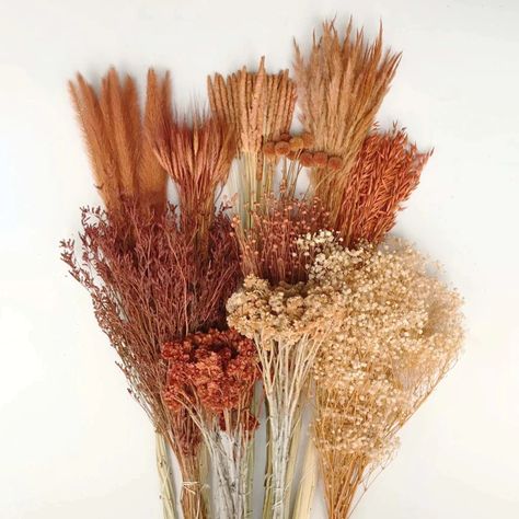 Monochromatic Brown Dried Flower Kit | DIY Flowers | FiftyFlowers Unique Flower Arrangements, Unique Bouquet, Flower Inspiration, Flower Packaging, Flower Arrangements Diy, Bunny Tail, Wholesale Flowers, Diy Flower, Unique Flowers