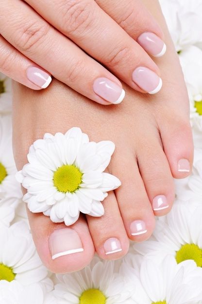 Female hand with beautiful french manicu... | Free Photo #Freepik #freephoto #flower #floral #elegant #nails Pedicure Pictures, Manicure Pictures, Feet Nail Design, French Pedicure, Nail Pictures, Manicure Y Pedicure, Nail Studio, Festival Looks, Nail Art Summer