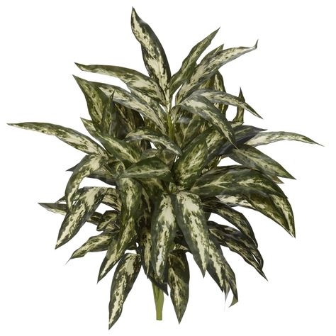 "Buy Chinese Evergreen Plant, 3ct. at Michaels. com. Native to both the tropical and subtropical regions of Asia, the 30'' artificial Chinese evergreen plant's green variegated leaves are fanned out in various directions, giving it a natural appearance. Native to both the tropical and subtropical regions of Asia, the 30'' artificial Chinese evergreen plant's green variegated leaves are fanned out in various directions, giving it a natural appearance. Coming in a set of three, it'll create a full and ample display in your sunroom surrounded by other artificial tropical plants. Details: Green variegated leaves 21'' x 22'' x 30'' Includes 3 plants Made of synthetic materials Recommended for indoor use | Chinese Evergreen Plant, 3ct. By Nearly Natural | 30\" | Michaels®" Plants Indoor Design, Chinese Evergreen Plant, Artificial Plant Arrangements, Artificial Plants Decor, Artificial Plants Indoor, Artificial Plant Wall, Trendy Plants, Artificial Plants And Trees, Chinese Evergreen