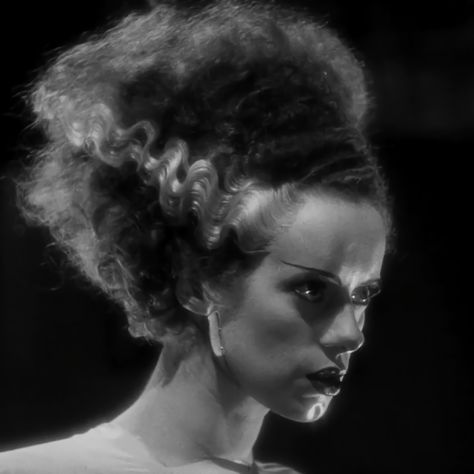 Elsa Lanchester, Lon Chaney Jr, Monster Eyes, Boris Karloff, Movie Gifs, Retro Horror, Vintage Goth, Famous Monsters, Dark Grunge