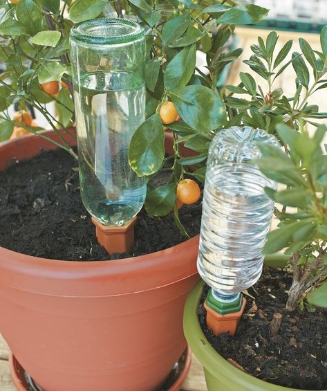 Smart Watering Plant Sitters: How to Not Kill Your Garden While on Vacation Diy Self Watering Planter, Plant Nanny, Gemüseanbau In Kübeln, Plant Watering System, Self Watering Containers, Self Watering Plants, Plant Watering, Back Garden Design, Smart Garden