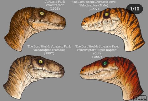 Velociraptor Art, Velociraptor Drawing, Velociraptor Jurassic Park, Jurassic Park Characters, Jurassic Park Poster, Jurassic Park Birthday Party, Realistic Animal Drawings, Jurassic Park Birthday, Dinosaur Sketch