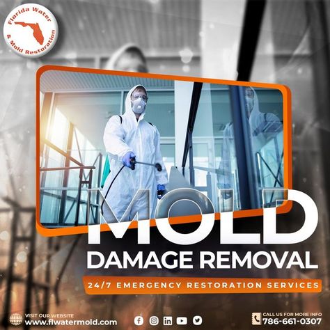 Mold Damage Removal - 24/7 EMERGENCY RESTORATION . SERVICE! Residential & Commercial - Mold removal services. We're a restoration company that works 24/7 . for any inquiry 📲 Call us: 786-661-0307 . 📧 EMAIL: flwatermold@gmail.com ➖➖➖➖➖➖➖➖➖➖➖➖➖➖➖➖➖➖➖➖➖ Our Services - SOLUTION FOR WATER, MOLD AND FIRE REMEDIATION : ✔️ Water Damage Restoration Services ✔️Fire and Smoke Remediation Services ✔️ Mold Remediation Services ✔️Shrink Wrapping Services #firedamage #waterdamage #restoration #mold #moldrem Mold Removal, Mold Remediation, Fire Damage, Mold Remover, Restoration Services, Water Damage, Our Services, Shrink Wrap, Molding